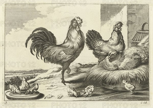 Chicken, roosters and chicks, Pieter van Lisebetten, Wenceslaus Hollar, Francis Barlow, 1654-1678