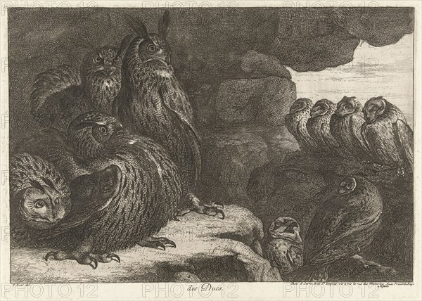 Owls in a cave, Gérard Scotin (I), Lodewijk XIV (koning van Frankrijk), 1670 - 1674