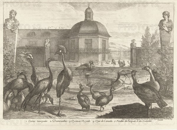 Birds, Gérard Scotin (I), Lodewijk XIV (koning van Frankrijk), 1670 - 1674