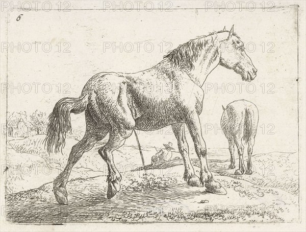 A horse, Jan van Aken, Jochem Bormeester, 1624 - 1661