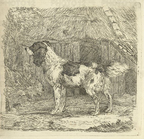 Dog standing in loft, Jan Dasveldt, 1780 - 1855