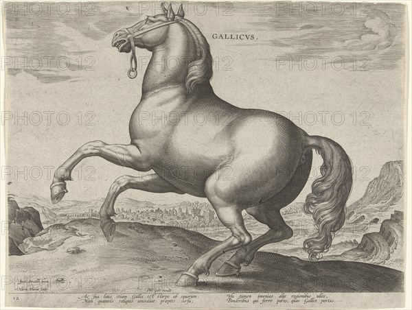 Horse from France, Gallicus, print maker: Hieronymus Wierix, Jan van der Straet, Philips Galle, c. 1583 - c. 1585