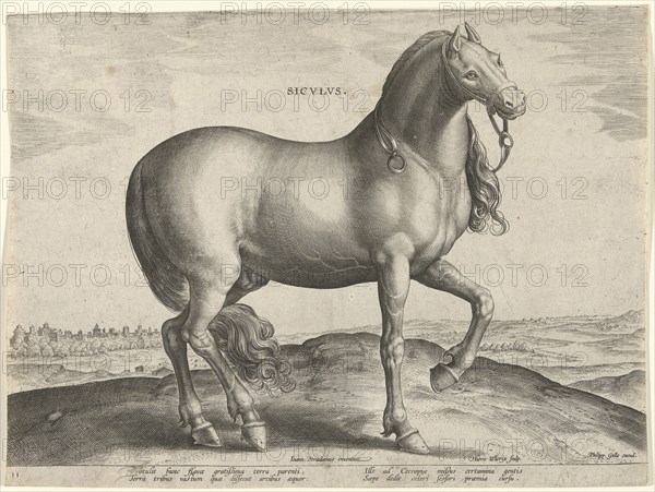 Horse from Sicily (Siculus), Hieronymus Wierix, Philips Galle, c. 1583 - c. 1587