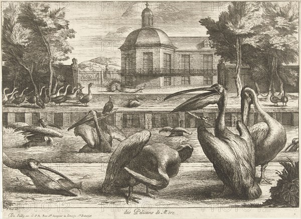 Pelicans, De Poilly, Louis XIV, King of France, 1670-1674