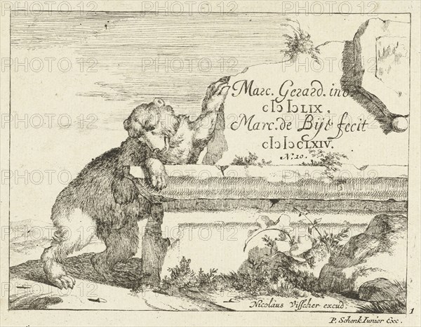 Bear near stone wall, Marcus de Bye, Pieter Schenk (II), Nicolaes Visscher (I), 1664