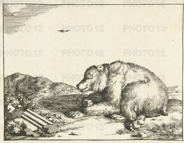 Reclining bear, print maker: Marcus de Bye, Marcus Gerards I, 1664