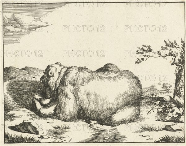 Reclining bear, from behind, drinking from bowl, Marcus de Bye, Marcus Gerards (I), 166 - 1664