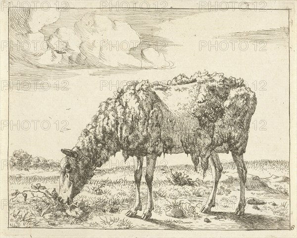 Sheep, Marcus de Bye, Paul Potter, 1657-1677