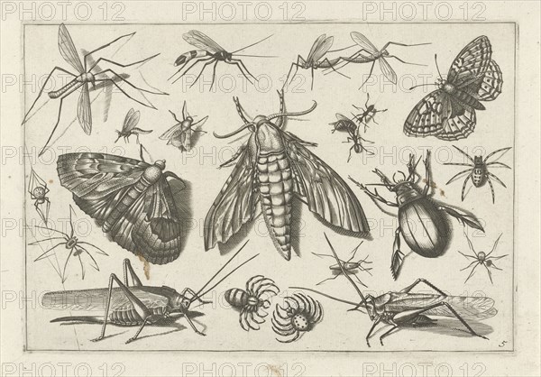 Insects, Jacob Hoefnagel, Joris Hoefnagel, Claes Jansz. Visscher (II), 1630