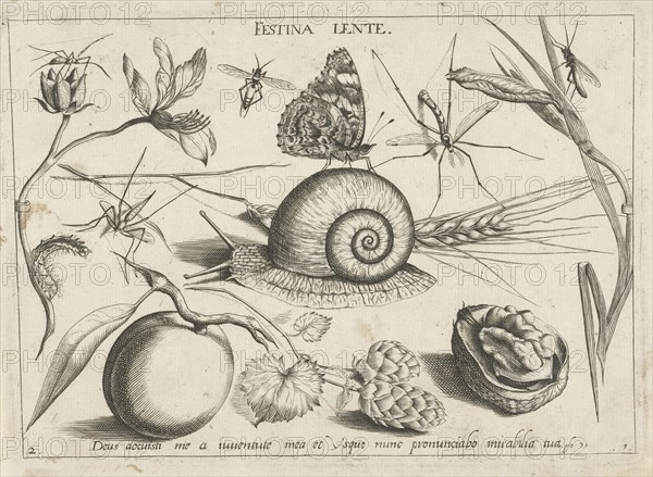 Animals, plants and fruits around a snail, print maker: Jacob Hoefnagel, Joris Hoefnagel, Christoph Weigel possibly, 1592 and/or 1693 - 1726