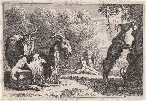 Goats, Anonymous, Herman van Swanevelt, 1636 - 1705