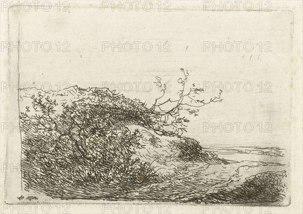 Dune landscape with bushes, Andreas Schelfhout, 1802 - 1870