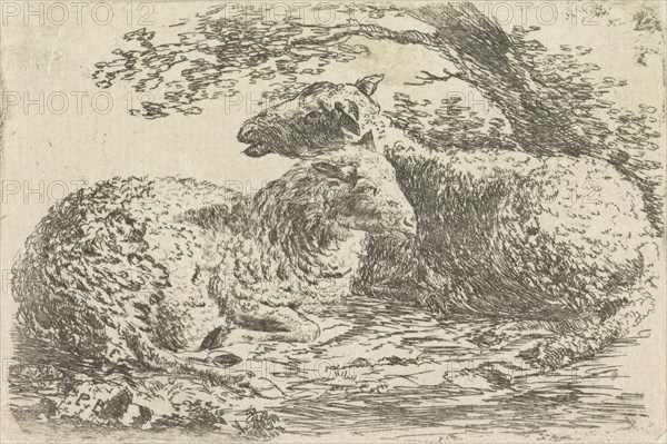 Two sheep, Monogrammist PVB, 1700 - 1885