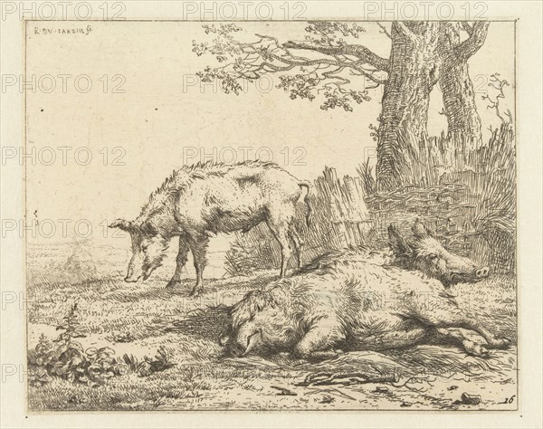 Three pigs in a hedge, Karel Dujardin, 1656 - 1658