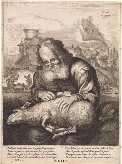 June: A shepherd shears a sheep, print maker: Anonymous, Jonas Suyderhoef, Joachim von Sandrart, 1670 - 1726