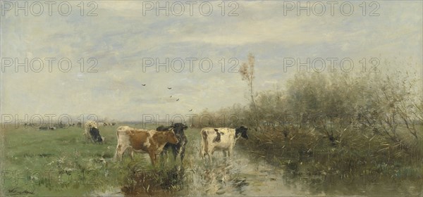 Cows in a Soggy Meadow, Willem Maris, 1860 - 1900