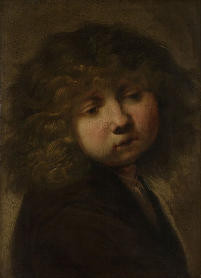 Head of a boy, circle of Rembrandt Harmensz. van Rijn, after 1643