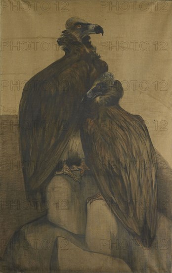 Two vultures, Theo van Hoytema, 1885 - 1917