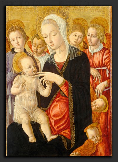 Matteo di Giovanni, Madonna and Child with Angels and Cherubim, Italian, c. 1430 - 1497, c. 1460-1465, on panel