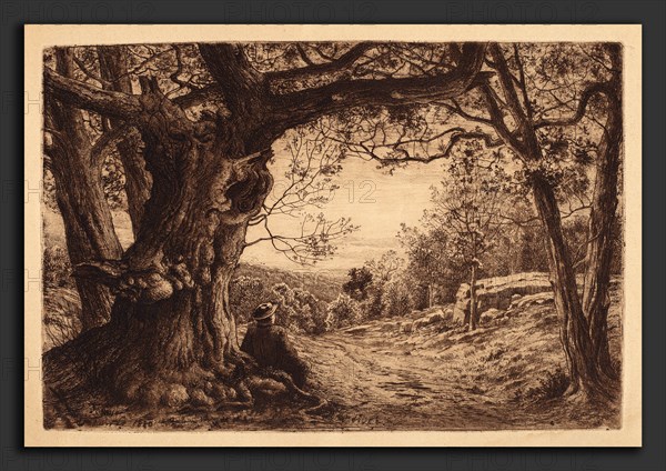 Henry Farrer, On The Hillside, American, 1843 - 1903, 1880, etching