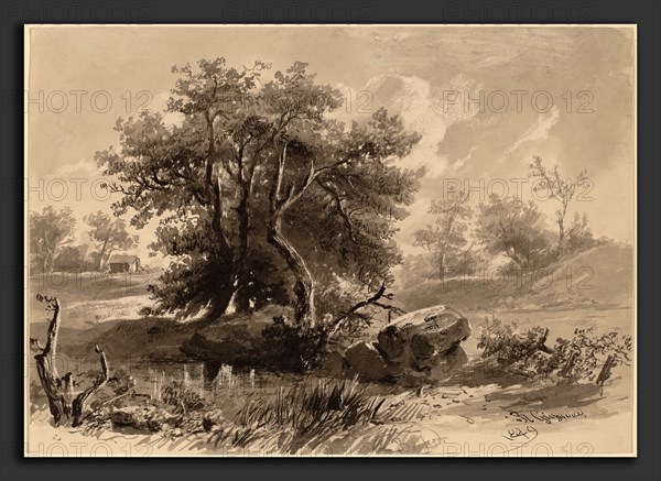 Régis FranÃ§ois Gignoux, The Trees, Bedford, New York, American, born France, 1816 - 1882, 1849, brush and gray and black ink on wove paper