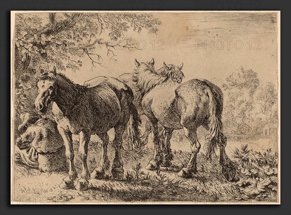 Pieter van Laer (Dutch, c. 1592 - 1642), Three Horses in a Field, 1636, etching and engraving on laid paper