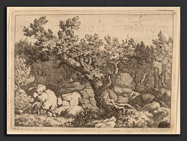 Allart van Everdingen (Dutch, 1621 - 1675), Sportsman near a Large Tree, probably c. 1645-1656, etching