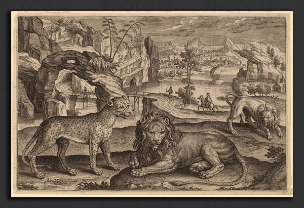 Adriaen Collaert (Flemish, c. 1560 - 1618), Animalium Quadrupedum, engraving