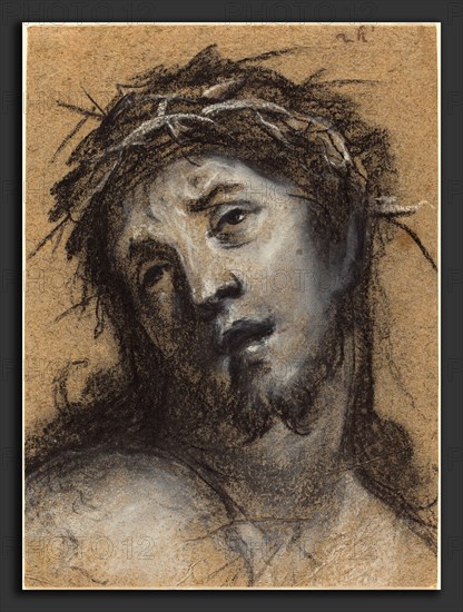 Johann Ulrich Mayr (German, 1630 - 1704), Head of Christ, c. 1670, black chalk with white heightening on brown oatmeal paper