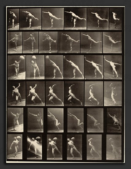 Eadweard Muybridge (American, born England, 1830 - 1904), Animal Locomotion, Plate 523, 1887, collotype