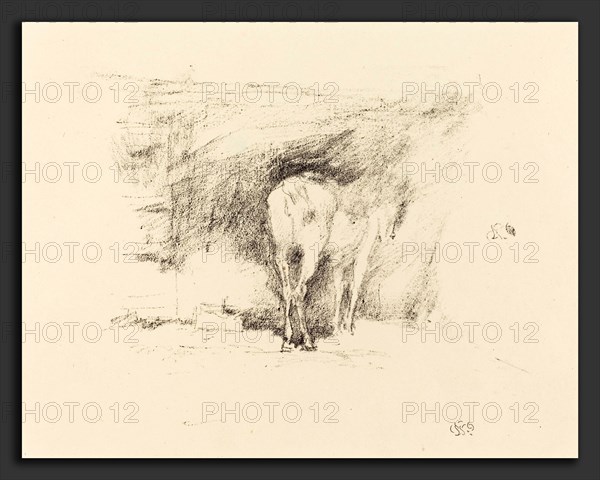 James McNeill Whistler (American, 1834 - 1903), Study of a Horse, 1895, lithograph