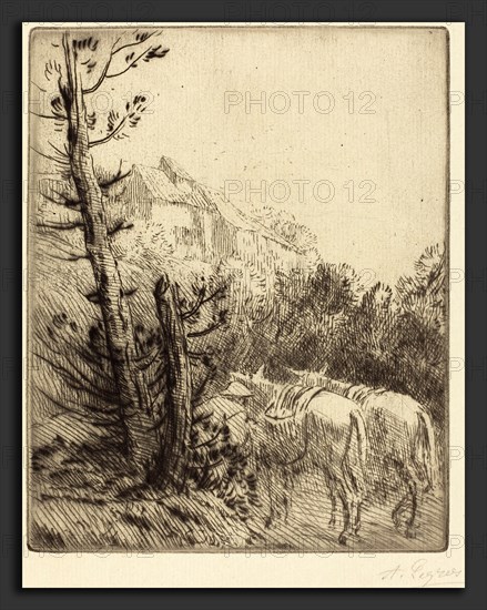 Alphonse Legros, Farm on the Hillside (La ferme sur le coteau), French, 1837 - 1911, etching and drypoint
