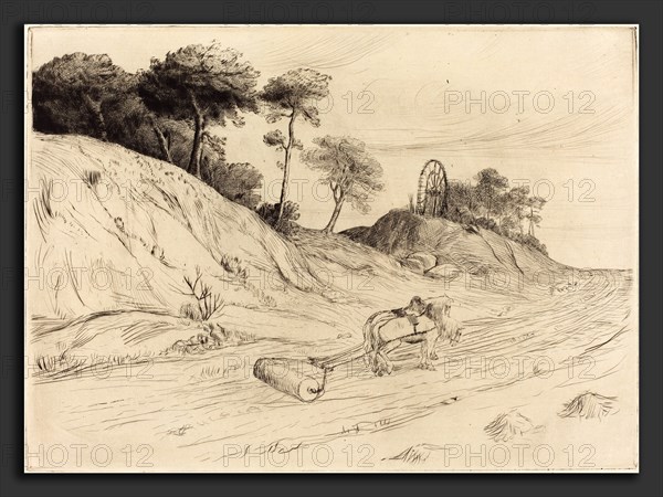 Alphonse Legros, Landscape with Roller (Le paysage au rouleau), French, 1837 - 1911, etching and drypoint