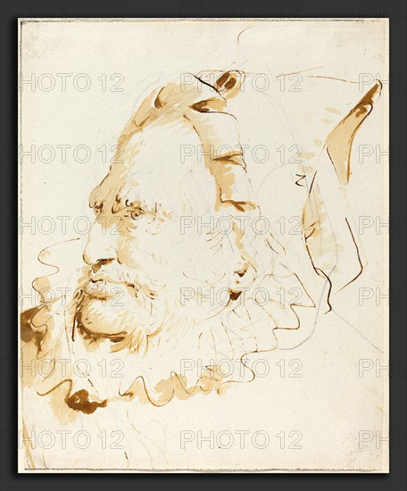 Giovanni Battista Tiepolo (Italian, 1696 - 1770), Head of a Magician, c. 1760, pen and brown ink with golden-brown wash over graphite on laid paper