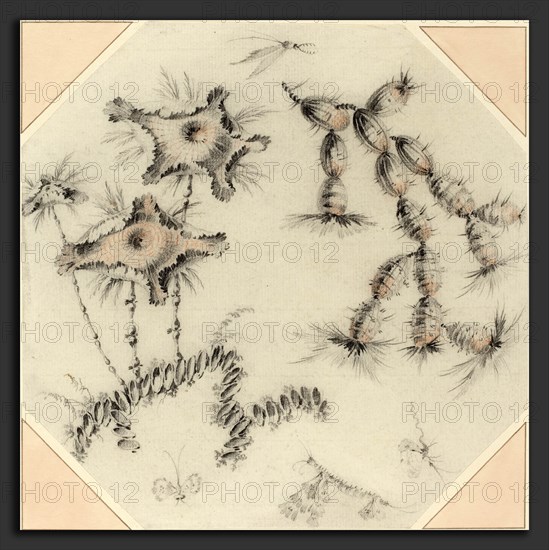 Jean-Baptiste Pillement (French, 1728 - 1808), Bamboo Flowers and Cactus, black and red chalk on laid paper