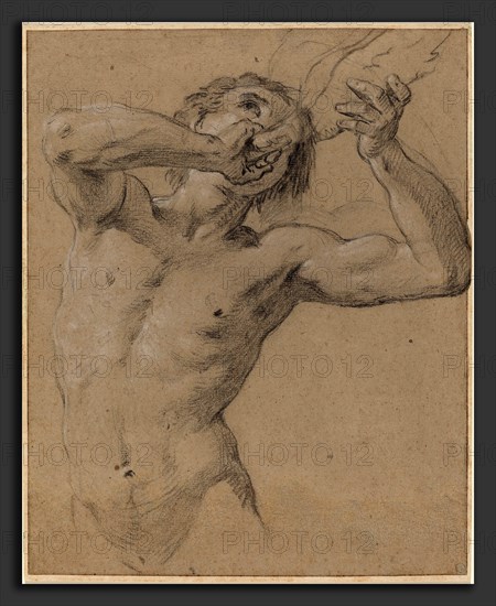 Jean-Baptiste Nattier (French, 1678 - 1726), A Triton Blowing a Conch Shell, 1724, black chalk heightened with white chalk on gray-brown laid paper