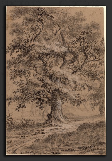 Johann Caspar Huber (Swiss, 1752 - 1827), A Leafy Oak by a Woodland Path, 1780s, graphite, black and white chalk, and gray wash on buff paper