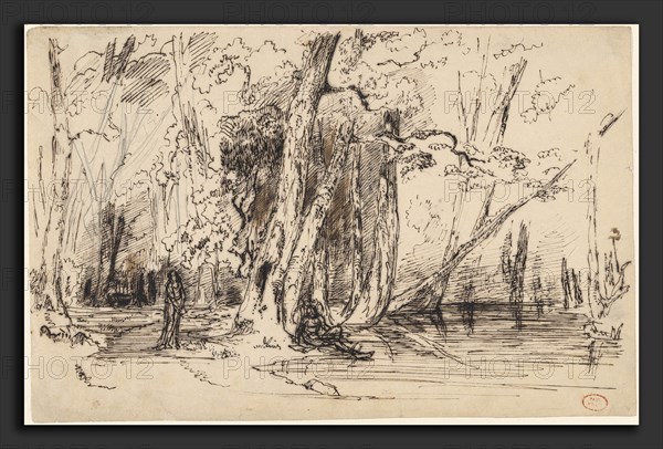 Paul Huet, Flooding in the Forest of the Ile Séguin, French, 1803 - 1869, c. 1833, pen and iron gall ink over graphite on wove paper