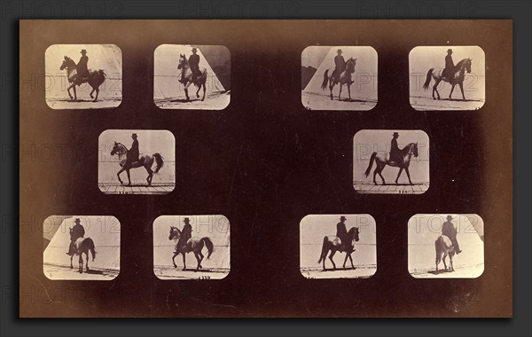 Eadweard Muybridge (American, born England, 1830 - 1904), Illustrations of the Paces Walking, Plate LX, 1878-79, albumen print, published 1881