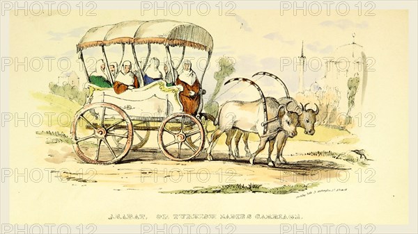 Arabat or Turkish Ladies Carriage, Damascus and Palmyra, a journey to the East, 19th century engraving