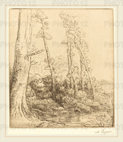 Alphonse Legros, Little Pond (La petite mare), French, 1837-1911, etching