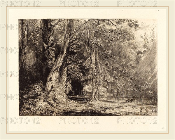Paul Huet (French, 1803-1869), Flooding in the Forest of the Ile Séguin, 1833, etching on chine collé