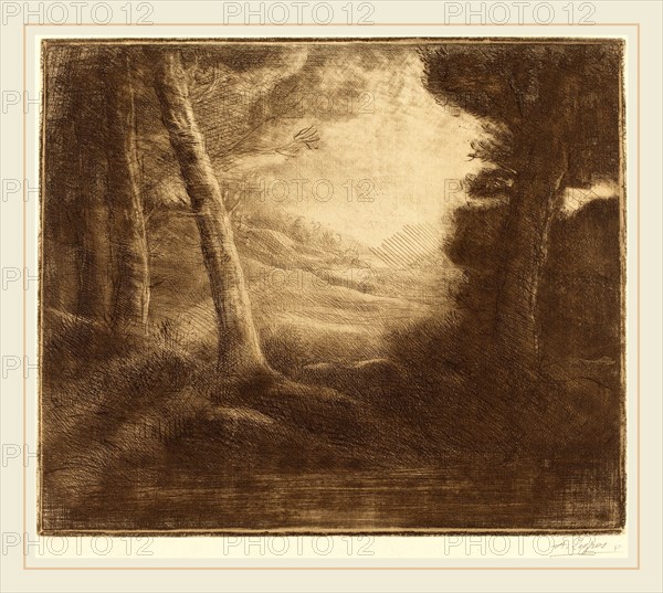 Alphonse Legros, Water's Edge by Morning Light (Au bord de l'eau (Effet du matin)), French, 1837-1911, etching, aquatint