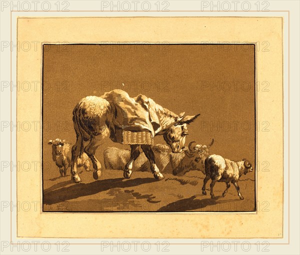 Johann Gottlieb Prestel after Joseph Wagner (German, 1739-1808), Donkey, published 1782, 4-color aquatint
