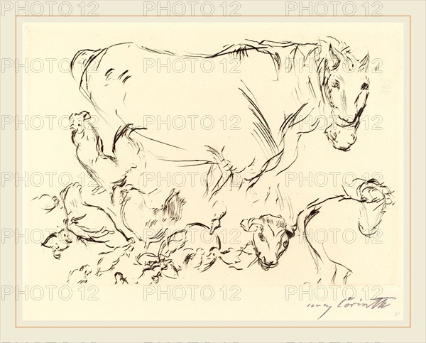 Lovis Corinth, Animal Studies (Verschiedene Tierstudien), German, 1858-1925, 1917, drypoint in black on laid paper