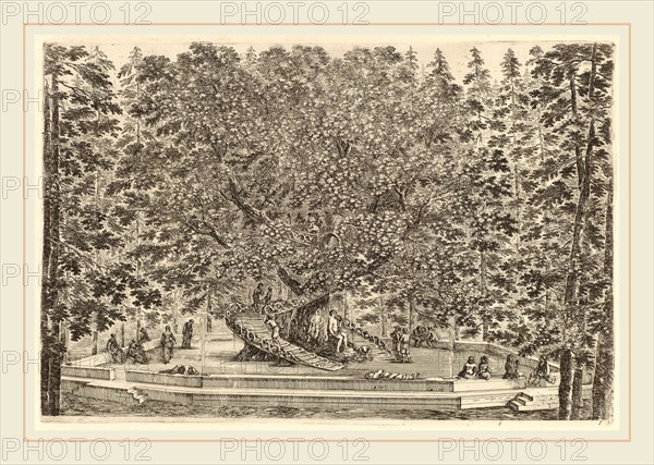 Stefano Della Bella (Italian, 1610-1664), The Inhabited Tree, probably 1653, etching on laid paper [restrike]