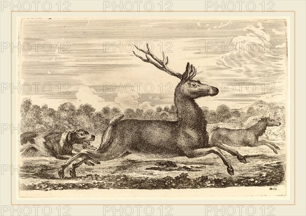 Stefano Della Bella (Italian, 1610-1664), Deer Chased by Two Dogs to the Left, etching on laid paper [restrike]