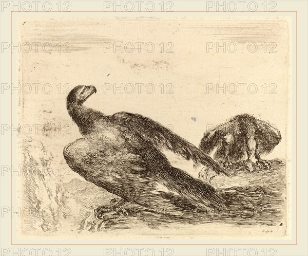 Stefano Della Bella (Italian, 1610-1664), Two Eagles on a Promitory, etching on laid paper [restrike]