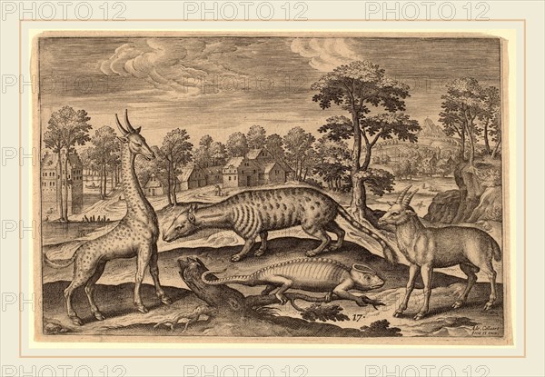 Adriaen Collaert (Flemish, c. 1560-1618), Animalium Quadrupedum, engraving