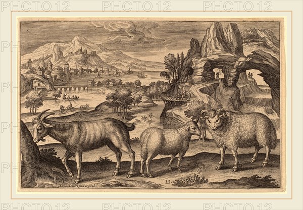 Adriaen Collaert (Flemish, c. 1560-1618), Animalium Quadrupedum, engraving